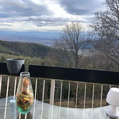 Petit Moment De Bonheur Appartement Turckheim Buitenkant foto